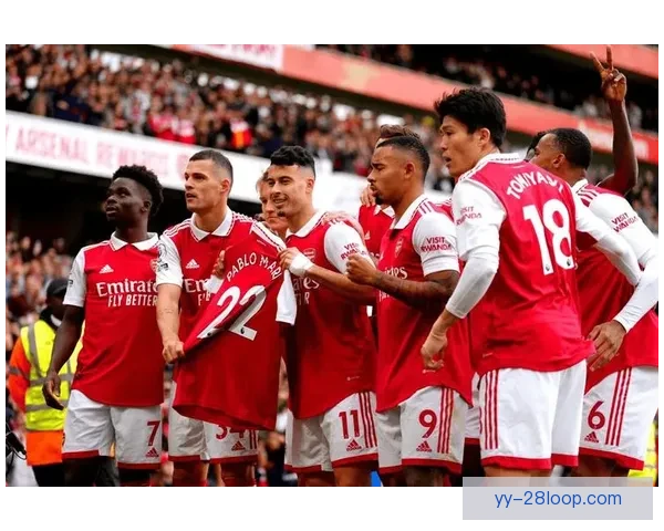 2025夏季转会水晶宫豪签法甲中卫新星助力防线升级