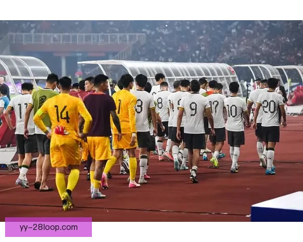 2026世界杯将为持票残障观众提供实时360度全景语音体验